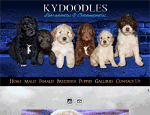 Tablet Screenshot of kydoodles.com